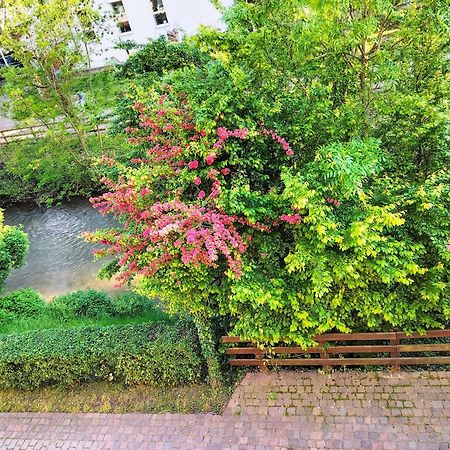 Alte Stadtmauer - Apartment Sinsheim Exteriör bild