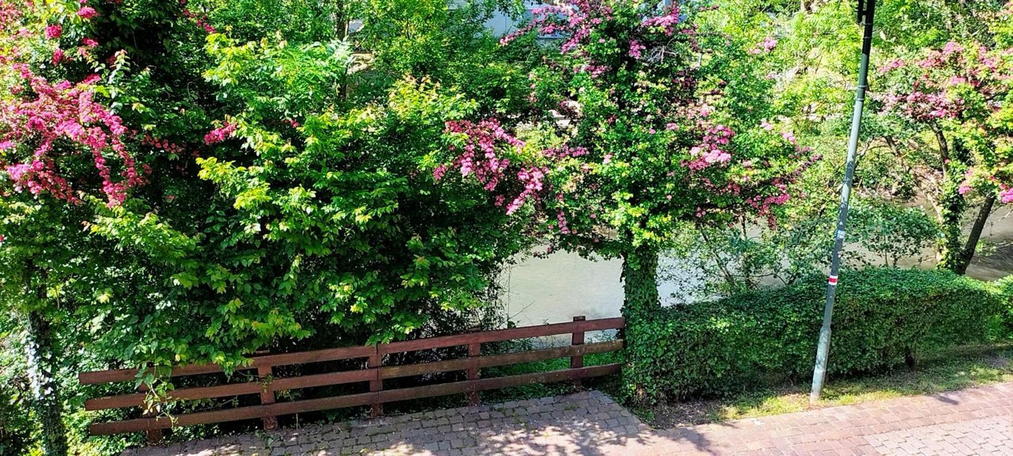 Alte Stadtmauer - Apartment Sinsheim Exteriör bild