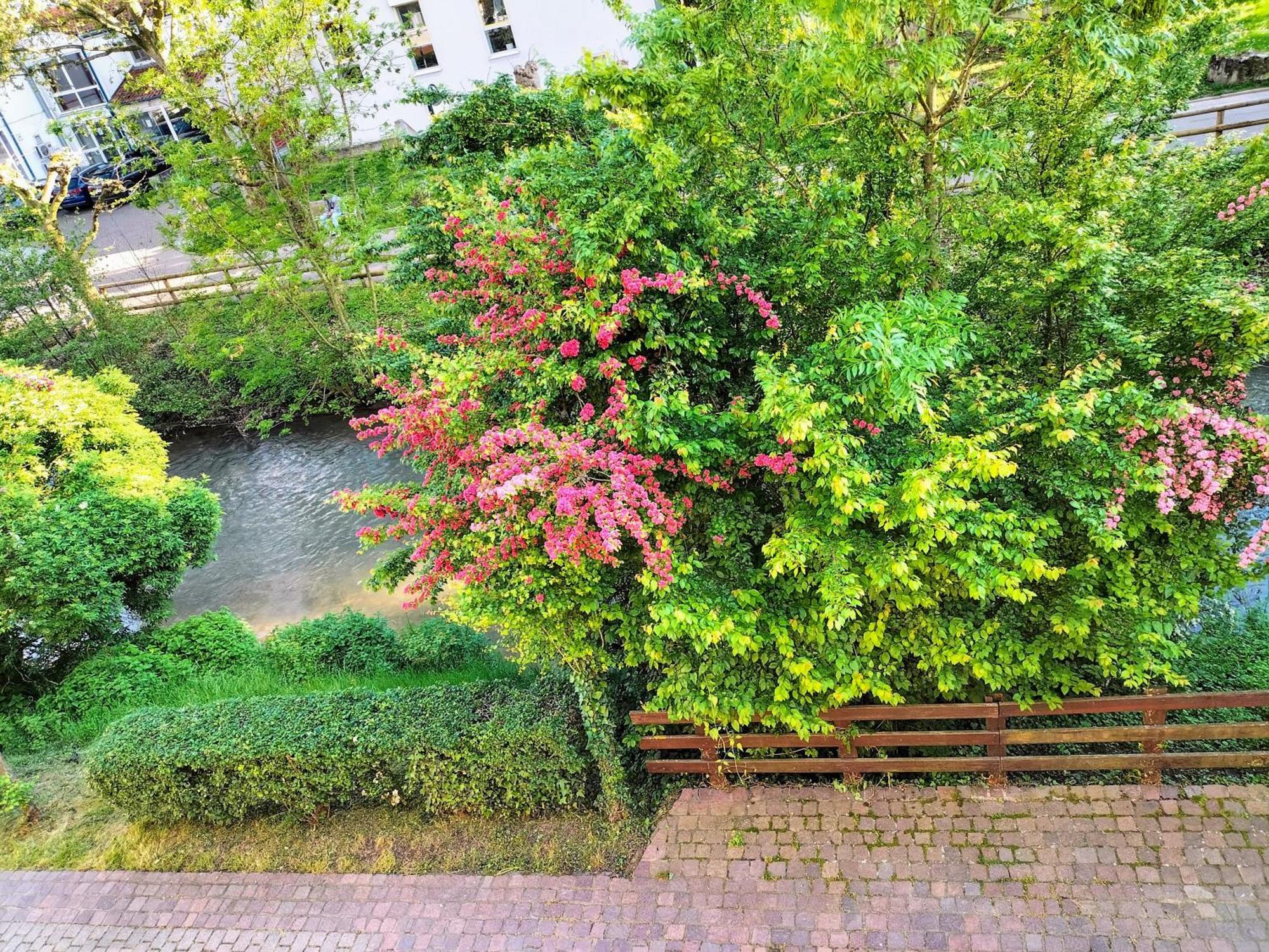 Alte Stadtmauer - Apartment Sinsheim Exteriör bild